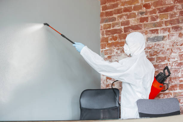 Mold Remediation for Vacation Homes in Picture Rocks, AZ