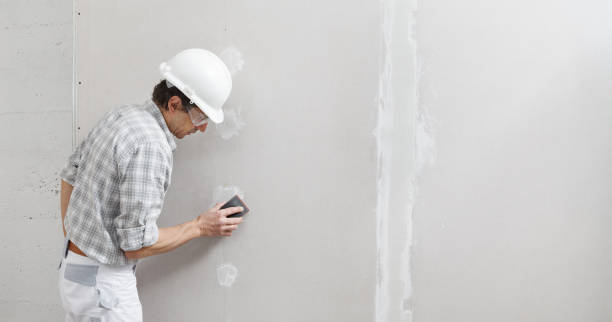 Mold Remediation for Rental Properties