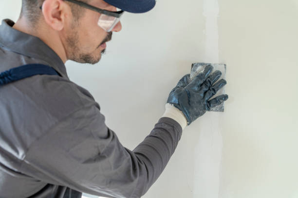 Best Black Mold Removal  in Picture Rocks, AZ