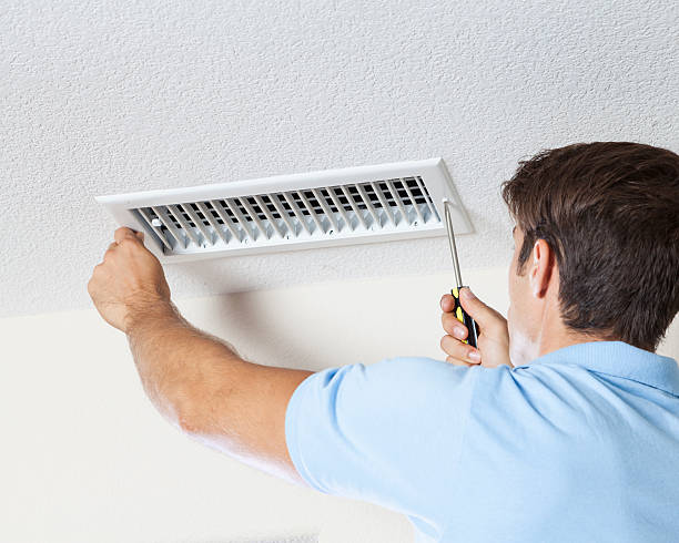 Best Crawl Space Mold Remediation  in Picture Rocks, AZ